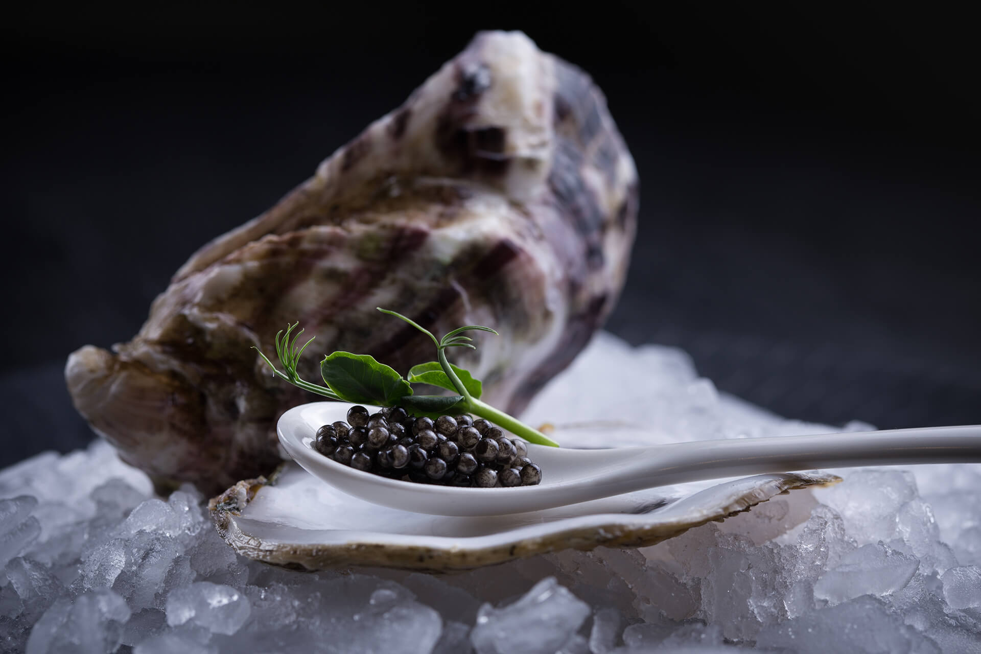 Ложка для чорної ікри - Spoon for black caviar