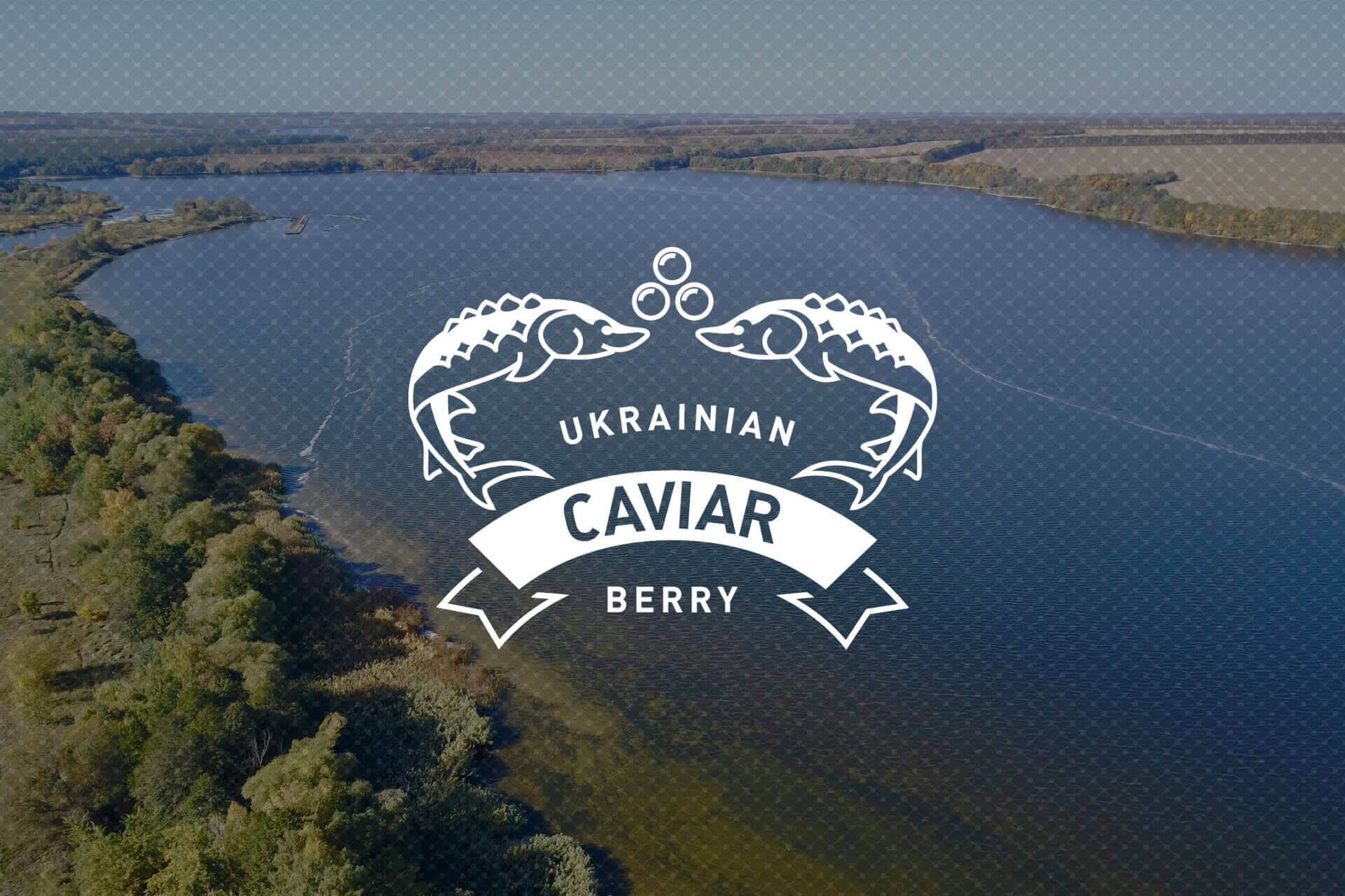 caviar.net.ua
